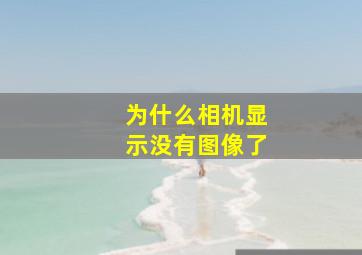 为什么相机显示没有图像了