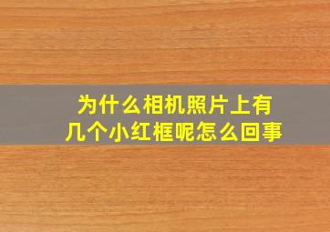 为什么相机照片上有几个小红框呢怎么回事