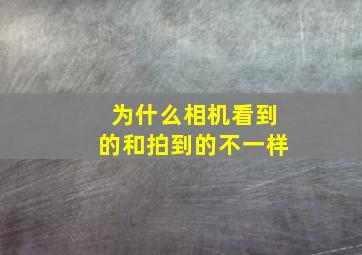 为什么相机看到的和拍到的不一样