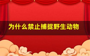 为什么禁止捕捉野生动物