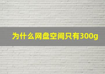 为什么网盘空间只有300g