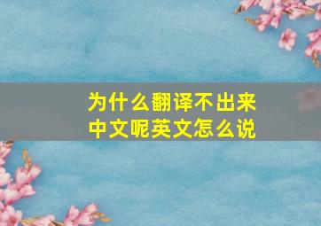 为什么翻译不出来中文呢英文怎么说