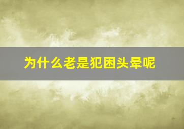 为什么老是犯困头晕呢