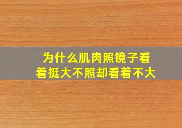 为什么肌肉照镜子看着挺大不照却看着不大