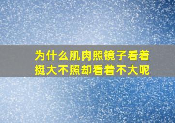 为什么肌肉照镜子看着挺大不照却看着不大呢