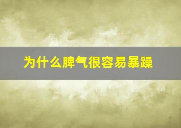 为什么脾气很容易暴躁