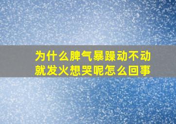 为什么脾气暴躁动不动就发火想哭呢怎么回事