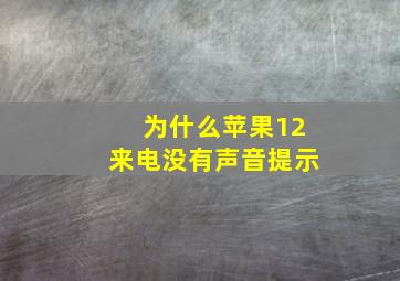 为什么苹果12来电没有声音提示