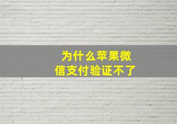 为什么苹果微信支付验证不了