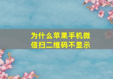 为什么苹果手机微信扫二维码不显示