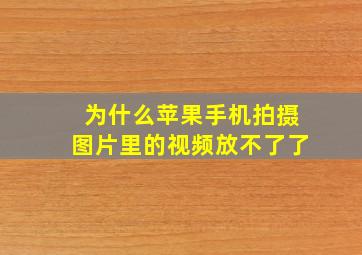 为什么苹果手机拍摄图片里的视频放不了了