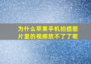 为什么苹果手机拍摄图片里的视频放不了了呢