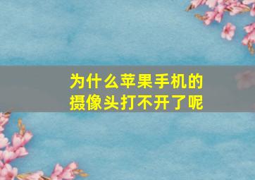 为什么苹果手机的摄像头打不开了呢