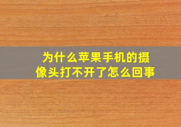 为什么苹果手机的摄像头打不开了怎么回事