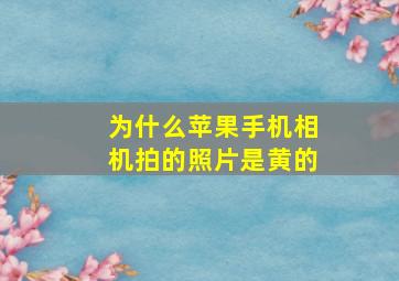 为什么苹果手机相机拍的照片是黄的