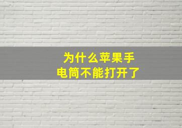 为什么苹果手电筒不能打开了