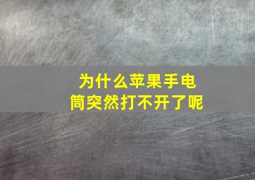 为什么苹果手电筒突然打不开了呢