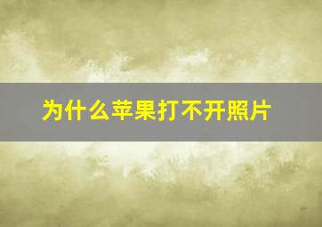 为什么苹果打不开照片