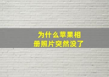 为什么苹果相册照片突然没了