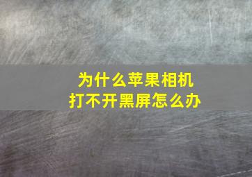 为什么苹果相机打不开黑屏怎么办