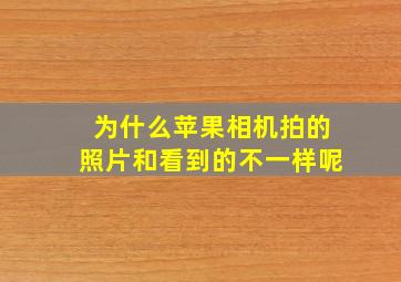 为什么苹果相机拍的照片和看到的不一样呢