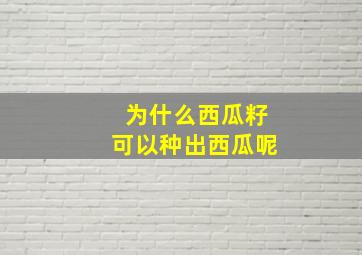 为什么西瓜籽可以种出西瓜呢