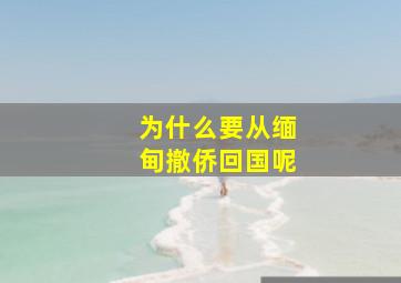 为什么要从缅甸撤侨回国呢