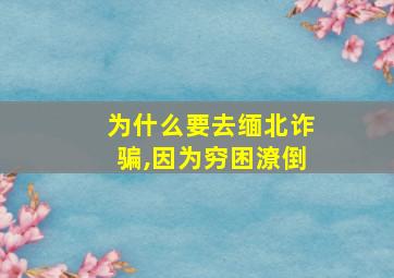 为什么要去缅北诈骗,因为穷困潦倒