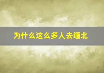 为什么这么多人去缅北