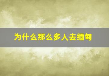 为什么那么多人去缅甸