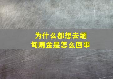 为什么都想去缅甸赚金是怎么回事