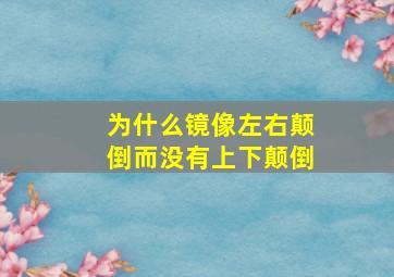 为什么镜像左右颠倒而没有上下颠倒