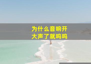 为什么音响开大声了就呜呜