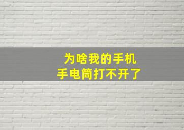 为啥我的手机手电筒打不开了