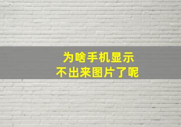 为啥手机显示不出来图片了呢