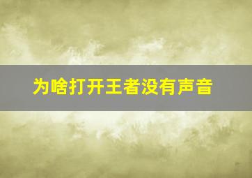 为啥打开王者没有声音