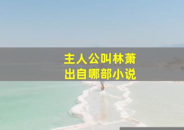 主人公叫林萧出自哪部小说