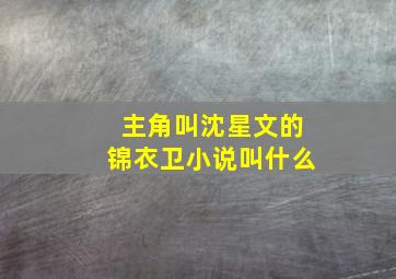 主角叫沈星文的锦衣卫小说叫什么