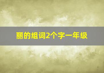 丽的组词2个字一年级