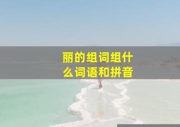 丽的组词组什么词语和拼音