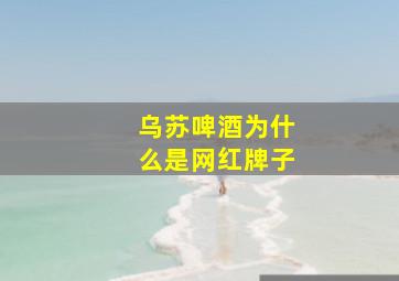 乌苏啤酒为什么是网红牌子