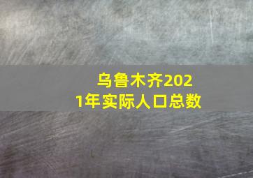 乌鲁木齐2021年实际人口总数