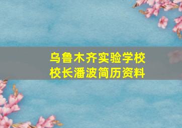 乌鲁木齐实验学校校长潘波简历资料