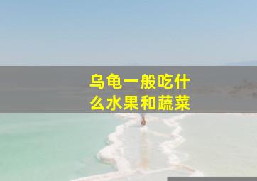 乌龟一般吃什么水果和蔬菜