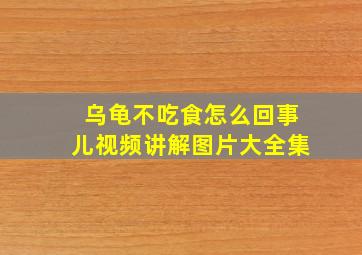 乌龟不吃食怎么回事儿视频讲解图片大全集