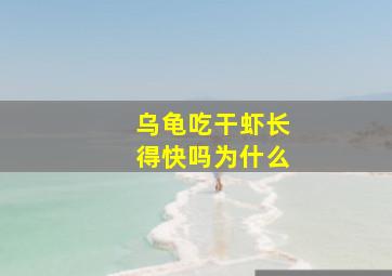 乌龟吃干虾长得快吗为什么