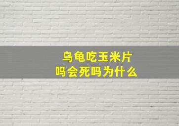 乌龟吃玉米片吗会死吗为什么