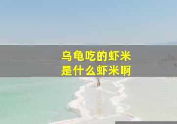 乌龟吃的虾米是什么虾米啊