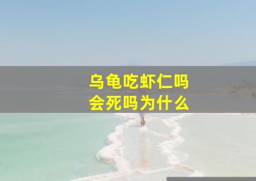 乌龟吃虾仁吗会死吗为什么