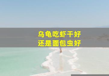 乌龟吃虾干好还是面包虫好